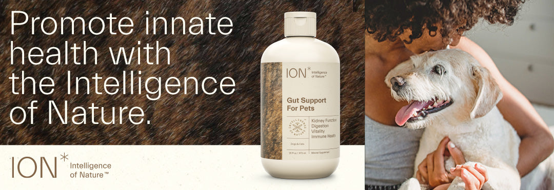 ION* Gut Support for Pets