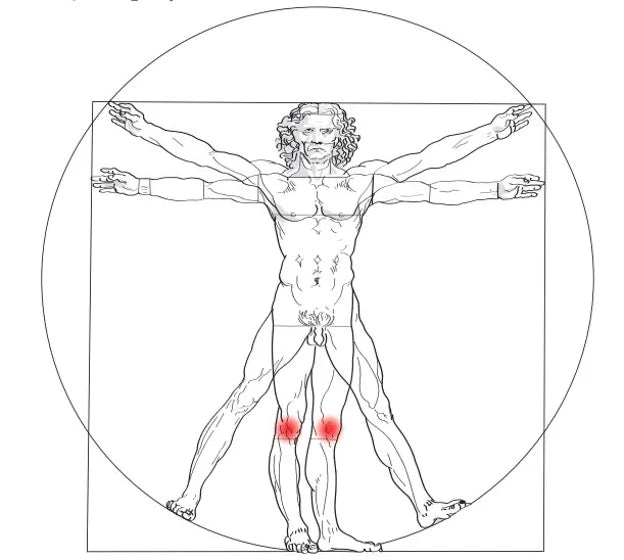 Atmalife 10 Calcium Phosphate - Capricorn