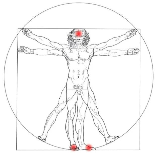 Atmalife 12 Iron Phosphate - Pisces
